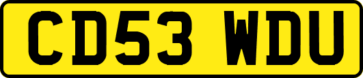 CD53WDU