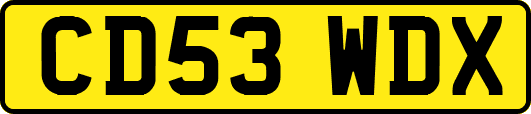 CD53WDX
