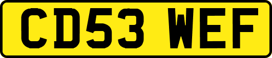 CD53WEF