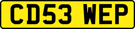 CD53WEP