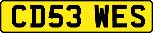 CD53WES