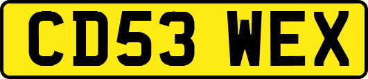 CD53WEX