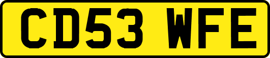 CD53WFE