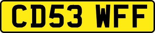 CD53WFF