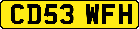 CD53WFH