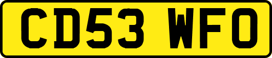 CD53WFO