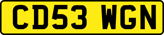 CD53WGN