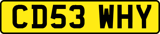 CD53WHY