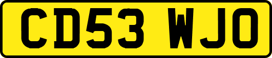 CD53WJO