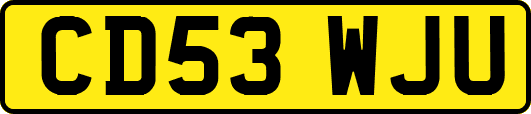 CD53WJU