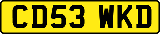 CD53WKD