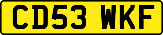 CD53WKF