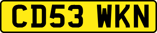 CD53WKN