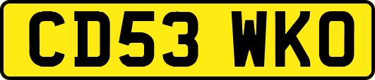 CD53WKO