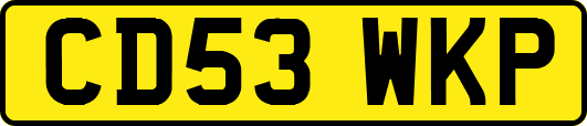 CD53WKP