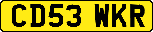 CD53WKR