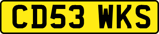 CD53WKS