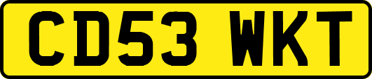 CD53WKT