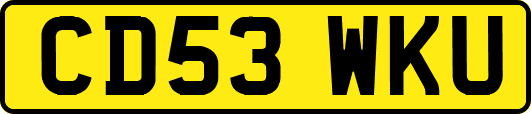 CD53WKU