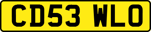 CD53WLO