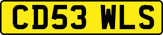 CD53WLS