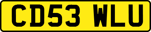CD53WLU