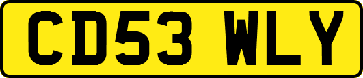 CD53WLY