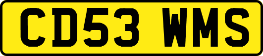 CD53WMS