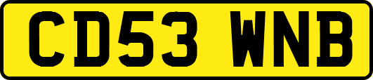 CD53WNB