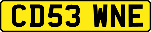 CD53WNE