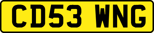 CD53WNG