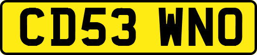 CD53WNO