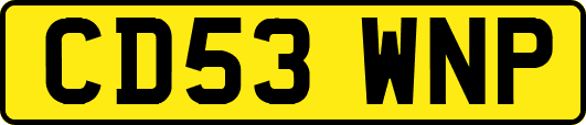 CD53WNP