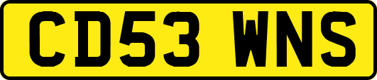 CD53WNS
