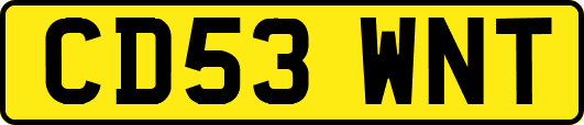 CD53WNT