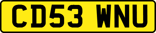 CD53WNU