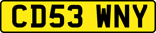 CD53WNY