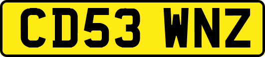 CD53WNZ