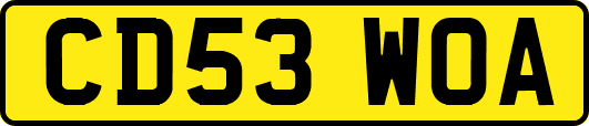 CD53WOA