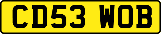 CD53WOB