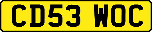 CD53WOC