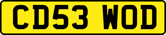 CD53WOD
