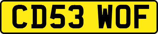 CD53WOF