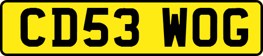 CD53WOG