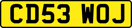 CD53WOJ