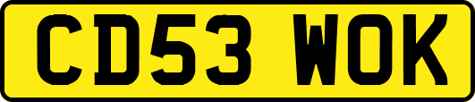 CD53WOK