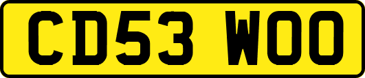 CD53WOO