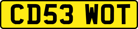 CD53WOT