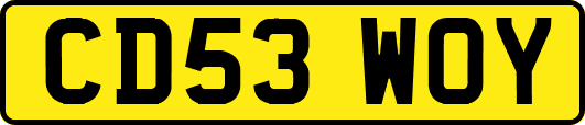CD53WOY