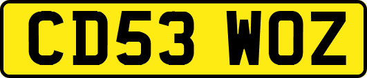 CD53WOZ